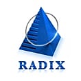 Top iPhone And iOS Mobile App Development Companies - Radixweb