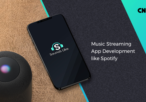 Music Streaming App Development like Spotify