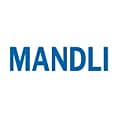 Top Artificial Intelligence (AI) Companies in Canada - MANDLI Technologies